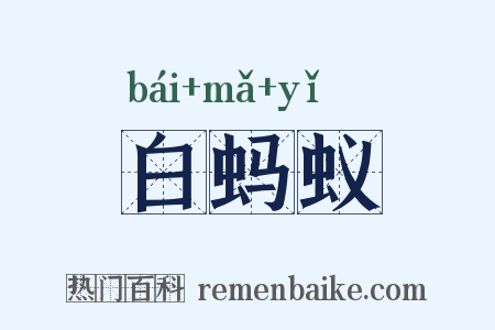 白蚂蚁是什么意思的图片